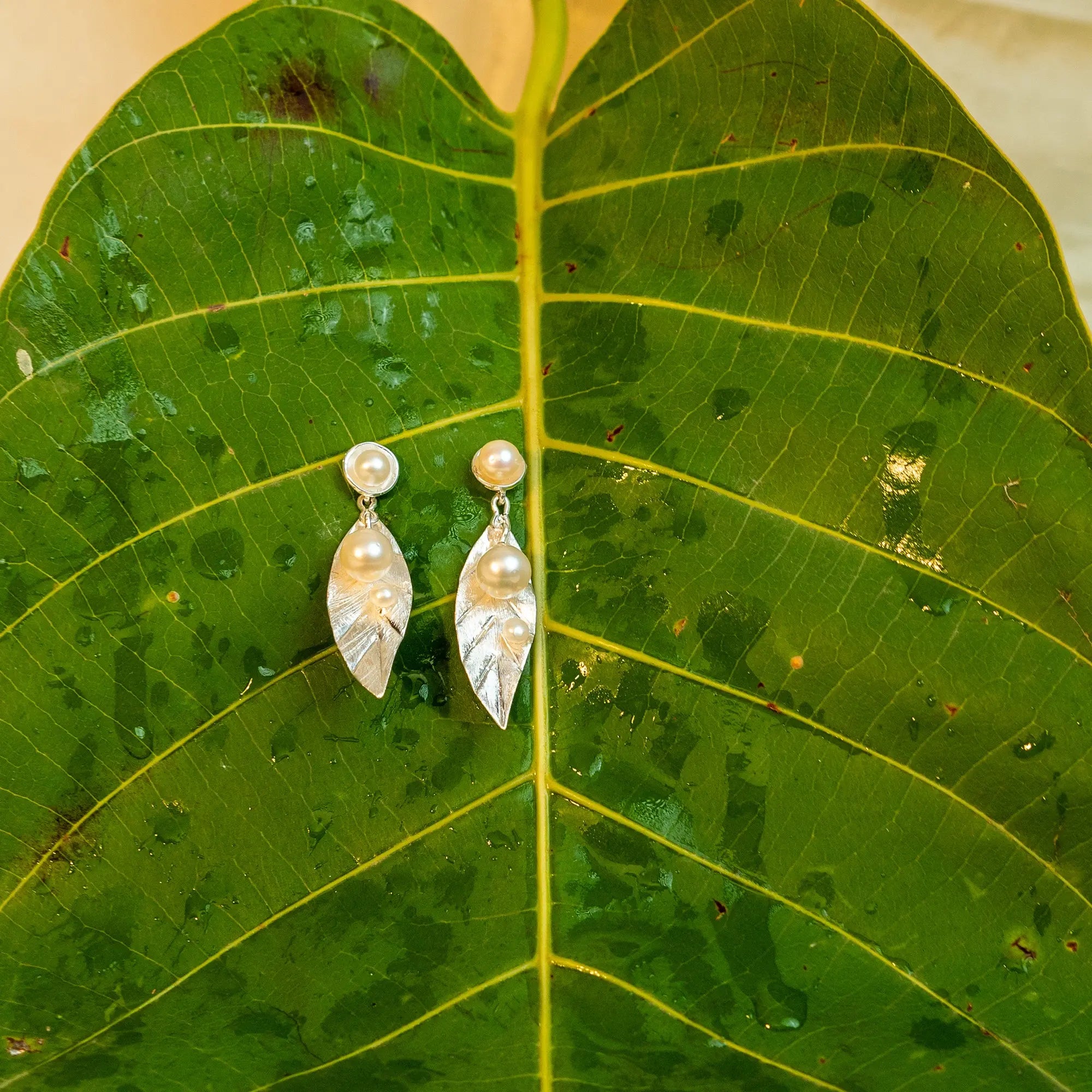 Dew on Leaf Hanging Earring