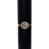 Natural Fossil Stone Bracelet